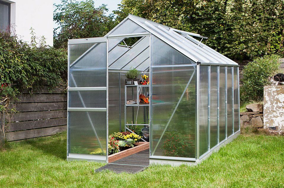Vitavia Apollo 6x4 Greenhouse Polycarbonate