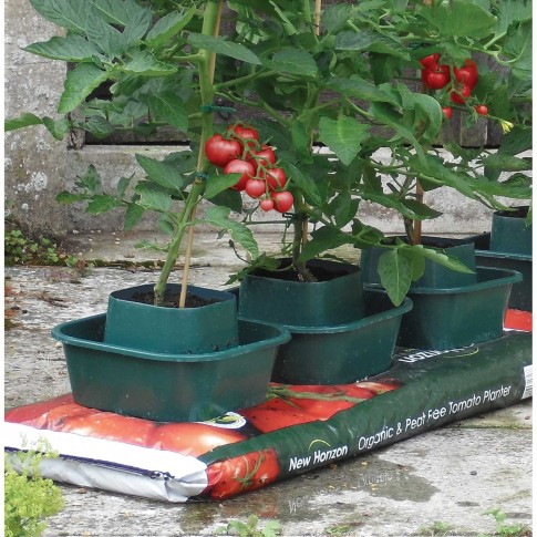 Discover Grow Bags An Alternative Plant Container  Almanaccom