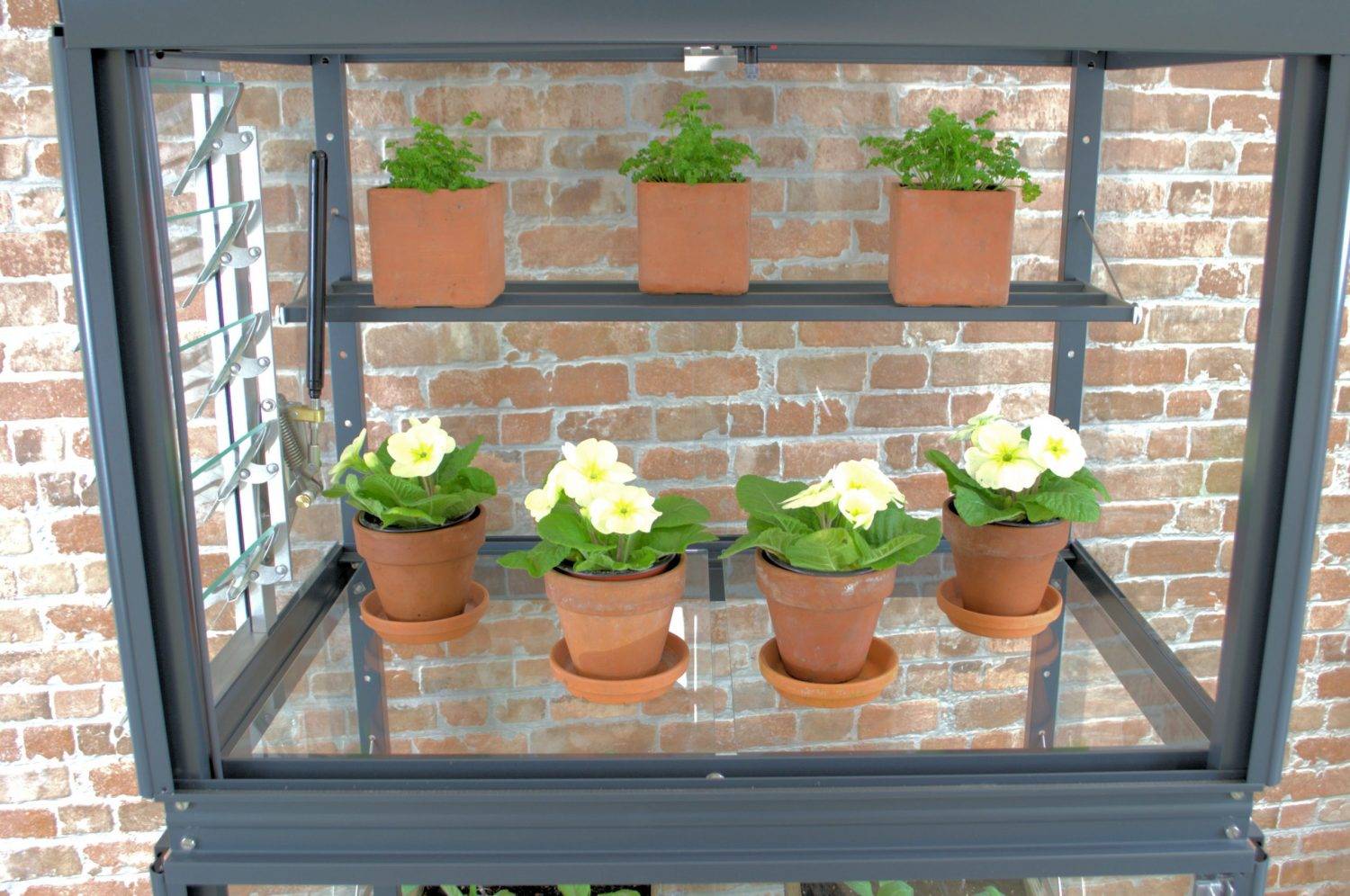 2x3 Lichfield Mini Greenhouse in Anthracite Grey