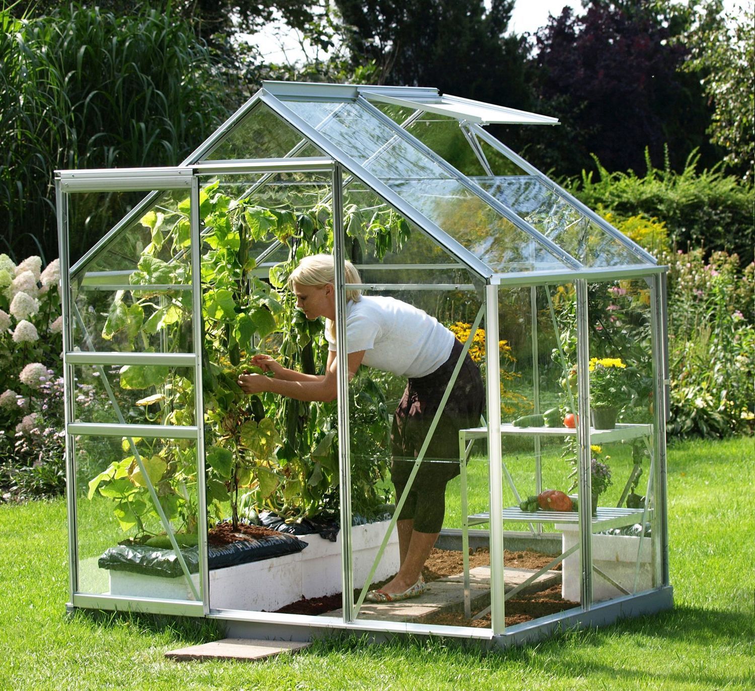 Vitavia 6x4 Venus 2500 Greenhouse Horticultural Vitavia 6x4 Venus 2500 Greenhouse Horticultural
