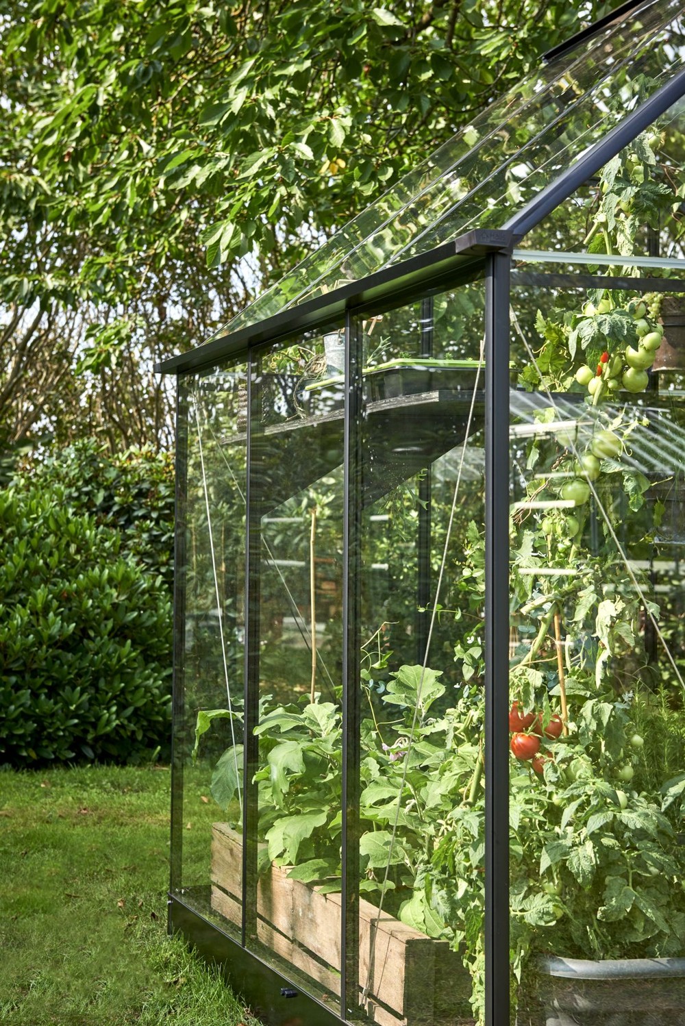 6x6 Halls Qube Greenhouse Free UK Delivery
