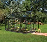 6x10 Black Halls Popular Greenhouse - Toughened Glass