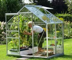 Mini Greenhouse 71'' x 36'' x 36'' Portable Hot House for Garden Backyard Mini Portable Greenhouse with Zipper Doors Patio Home 