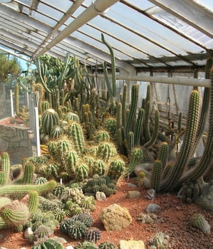 How to Heat a Greenhouse