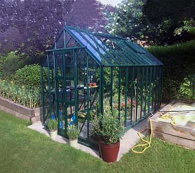 Elite Thyme 6x12 Greenhouse - Toughened Glazing