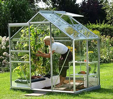 Vitavia 6x4 Venus 2500 Greenhouse - Horticultural Glass
