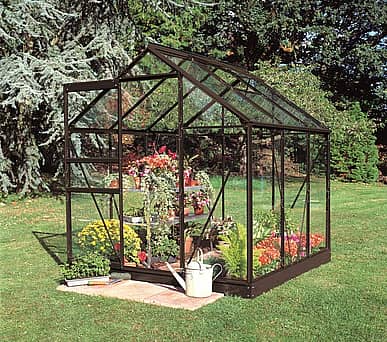 6x6 Black Halls Popular Greenhouse - Toughened Glass