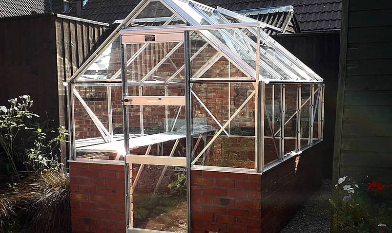 Elite 6x12 Dwarf Wall Greenhouse - Toughened Glazing