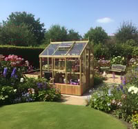 Swallow Kingfisher 6x6 Wooden Greenhouse