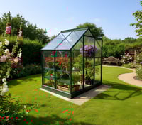Vitavia Venus 6x8 Greenhouse
