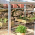 2x6 Access Aluminium Mini Greenhouse Folding Shelving