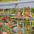 3x5 Access Exbury Mini Greenhouse Toughened Glass Seed Trays