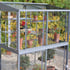 3x5 Access Exbury Mini Greenhouse Toughened Glass Ventilation