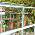3x6 Access Exbury Mini Growhouse with Toughened Glass