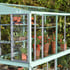 3x6 Access Exbury Mini Greenhouse with Toughened Glass Shelving