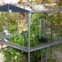 Access 4x4 Mini Greenhouse with Toughened Glass