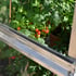 4x4 Access Mini Tomato house with Toughened Glass