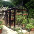 5x8 Janssens Helios Urban Victorian Greenhouse