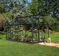 6x10 Black Halls Popular Greenhouse - Toughened Glass