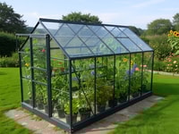 Vitavia 6x10 Green Venus 6200 Greenhouse - Horticultural Glass