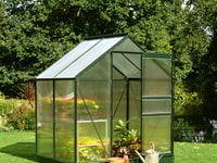 6x4 Green Halls Popular Greenhouse - Polycarbonate Glazing