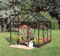 6x6 Black Halls Popular Greenhouse - Horticultural Glass