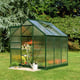 6x6 Green Halls Popular Greenhouse Polycarbonate Glazing