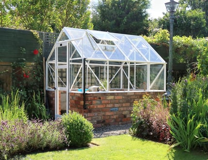 Elite Dwarf Wall Greenhouse