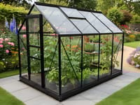 Vitavia 8x6 Black Venus 5000 Greenhouse - Horticultural Glass