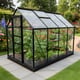 Vitavia 8x6 Black Venus 5000 Greenhouse