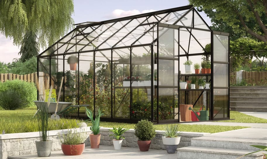 Vitavia 8x12 Black Phoenix 9900 Greenhouse Toughened