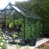 8x6 Green Halls Popular Greenhouse in Horticultural Glass