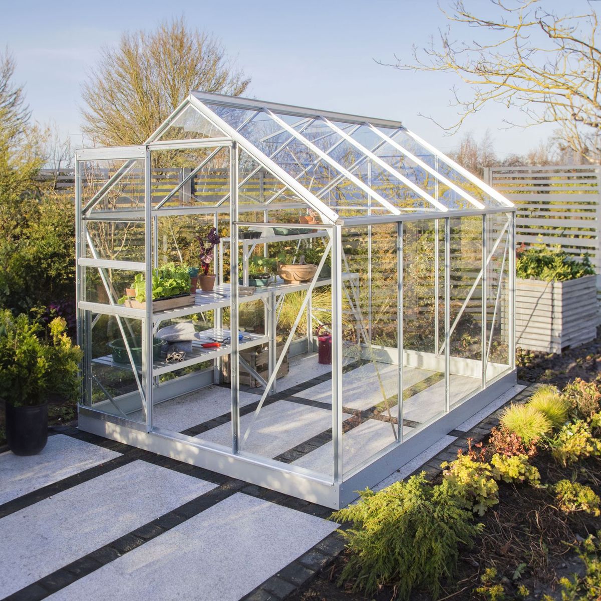 Vitavia 8x6 Venus 5000 greenhouse with toughened glass