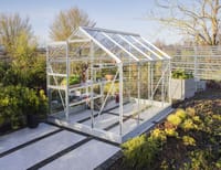 Vitavia 8x6 Venus 5000 Greenhouse - Toughened Glass