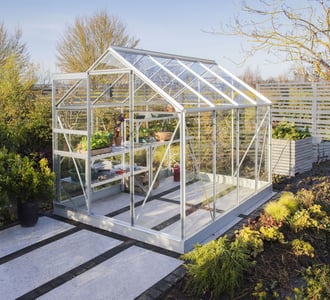 Vitavia Venus 6x8 Aluminium Greenhouse with Toughened Glazing
