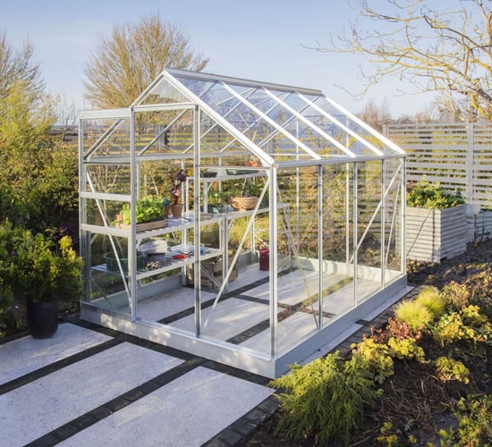 Vitavia 8x6 Venus 5000 Greenhouse