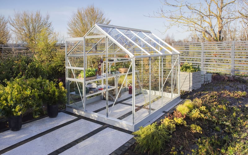 Vitavia Venus 8x6 greenhouse ideal for growing tomatoes and vegetables