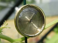Vitavia Hygrometer