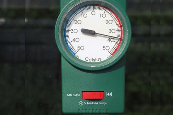 Vitavia Max Min Thermometer mounted on a potting shed wall