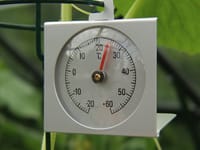 Vitavia Thermometer