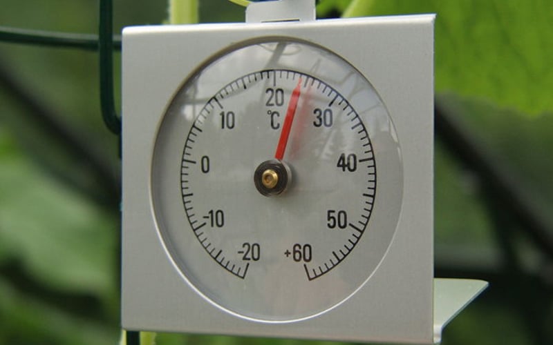 Vitavia greenhouse thermometer