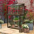 2x3 Access Harewood Lean To Growhouse Toughened Glass in Chestnut Brown