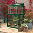 2x3 Access Harewood Lean To Growhouse Toughened Glass in Racing Green