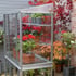 2x3 Access Lean To Greenhouse with Toughened Glass Staging and Shelving
