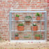 1x3 Access Half Westminster Mini Growhouse Lean To Greenhouse Aluminium
