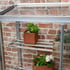 1x3 Access Half Westminster Mini Lean To Greenhouse