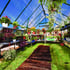 Palram Greenhouses Balance 8x12 Green Inside