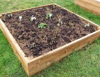 Access 4x4 Raised Wooden Bed Kit