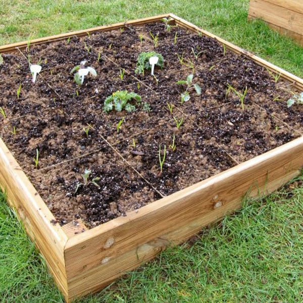 Access 4x4 Raised Wooden Bed Kit