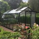 Black 10x14 ACD Greenhouse